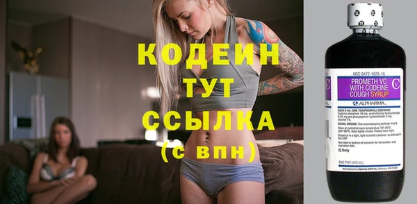 хмурый Вяземский