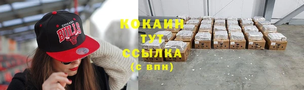 ешки Горняк