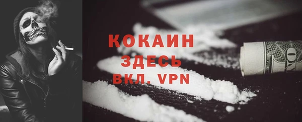 ешки Горняк