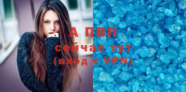 ешки Горняк
