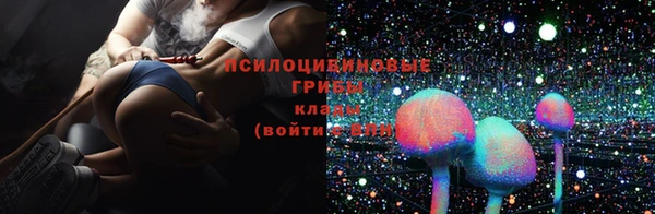 трава Горнозаводск