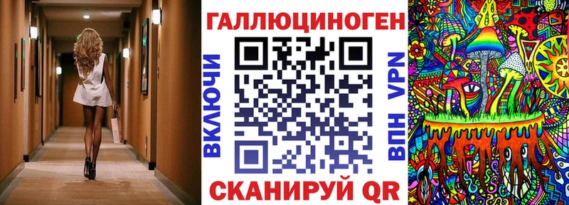 ОМГ ОМГ как зайти  Карасук  Псилоцибиновые грибы мицелий 